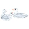 Enten