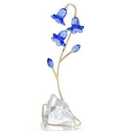 Florere Blaue Glockenblume