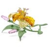 Florere Lily Gross Florere Lily Gross