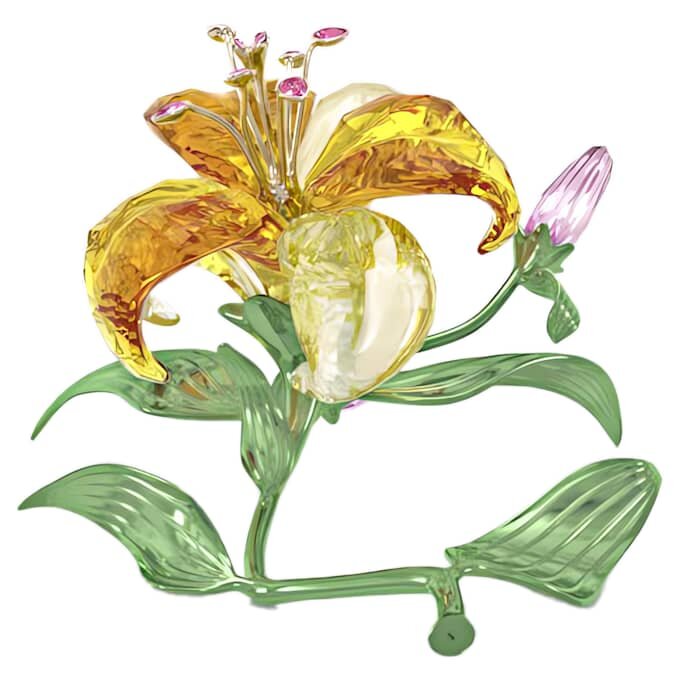 Florere Lily Gross Florere Lily Gross