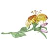 Florere Lily Gross Florere Lily Gross
