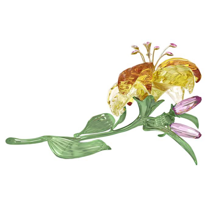 Florere Lily Gross Florere Lily Gross