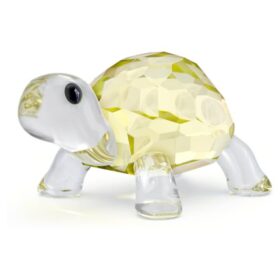 Idyllia Baby-Schildkröte