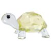Idyllia Baby-Schildkröte Idyllia Baby-Schildkröte