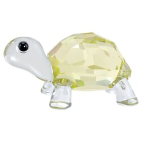 Idyllia Baby-Schildkröte