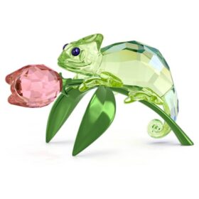 Idyllia Chamäleon und Tulpe