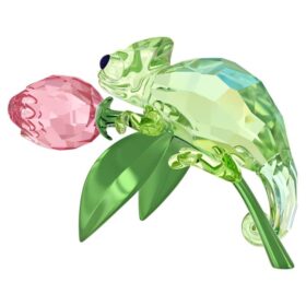 Idyllia Chamäleon und Tulpe