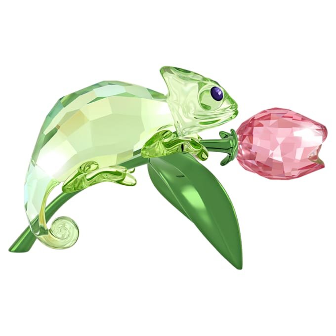 Idyllia Chamäleon und Tulpe Idyllia Chamäleon und Tulpe