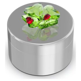 Idyllia Dekobox mit Kleeblatt und Marienkäfer