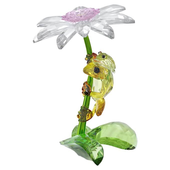 Idyllia Frösche und Blume Idyllia Frösche und Blume