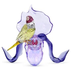 Idyllia Gouldfink und Orchidee