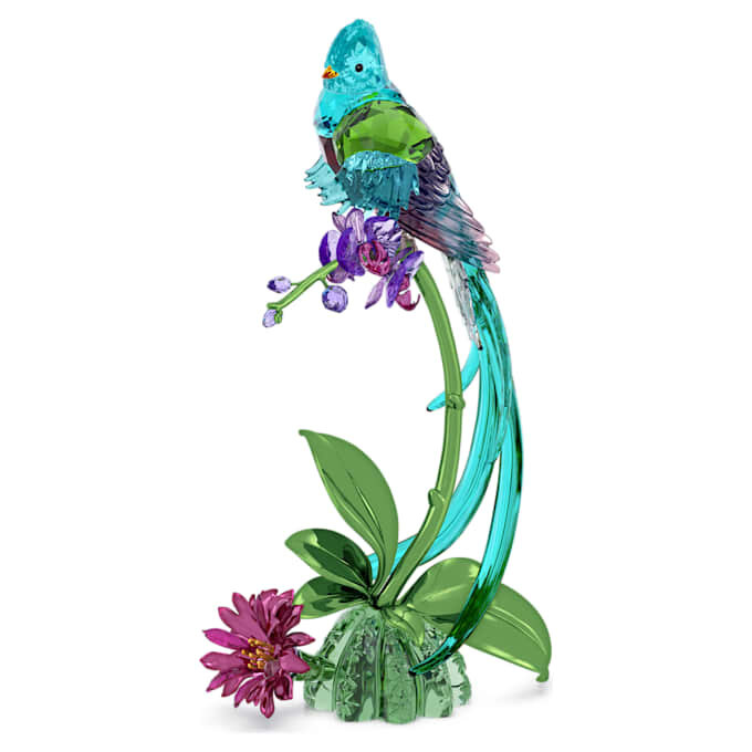 Idyllia Quetzal und Orchidee Idyllia Quetzal und Orchidee