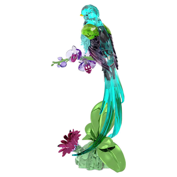 Idyllia Quetzal und Orchidee Idyllia Quetzal und Orchidee