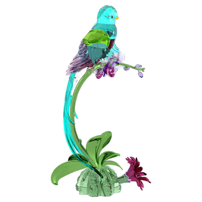 Idyllia Quetzal und Orchidee Idyllia Quetzal und Orchidee
