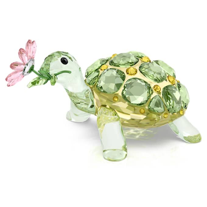 Idyllia Schildkröte und Gänseblümli Idyllia Schildkröte und Gänseblümli