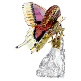 Idyllia-Schmetterling