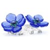 Idyllia SCS Anemone Coronaria Blume Idyllia SCS Anemone Coronaria Blume
