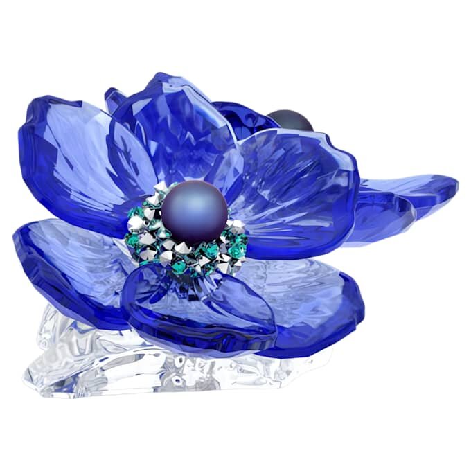 Idyllia SCS Anemone Coronaria Blume Idyllia SCS Anemone Coronaria Blume