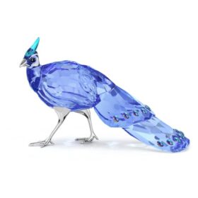 Idyllia SCS Palawan-Pfau-Fasan