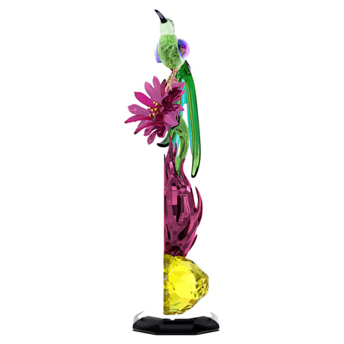 Idyllia Sugarbird und Drachenfrucht-Totem Idyllia Sugarbird und Drachenfrucht-Totem