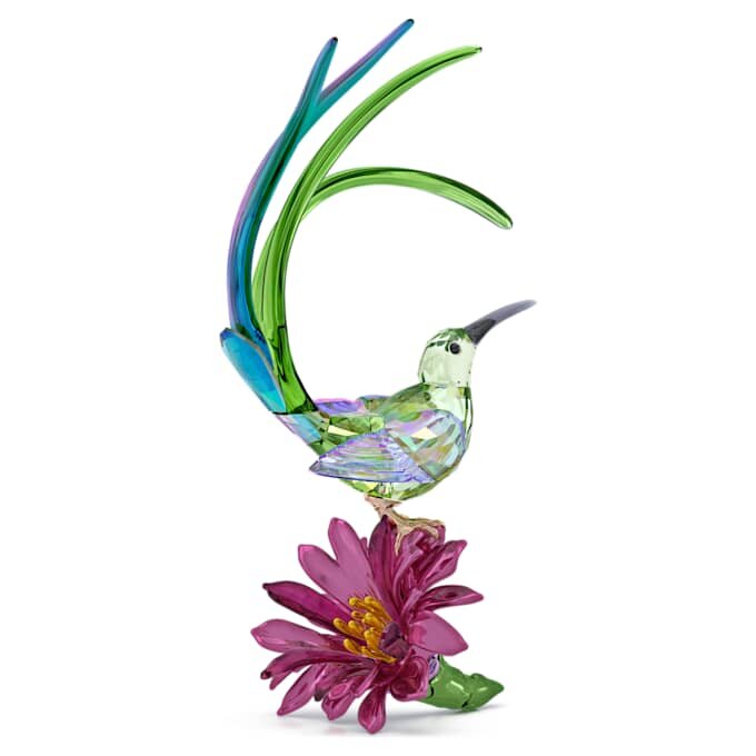 Idyllia Zuckervogel und Kaktusblüte Idyllia Zuckervogel und Kaktusblüte
