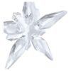 Jahresedition «Little Star»-Ornament 2025 Jahresedition «Little Star»-Ornament 2025