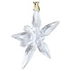 Jahresedition «Little Star»-Ornament 2025 Jahresedition «Little Star»-Ornament 2025