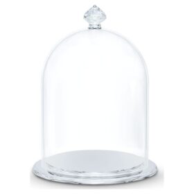 Kleine Glasglocke