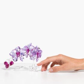 Kristallblumen Orchidee Kristallblumen Orchidee