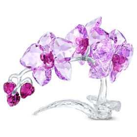 Kristallblumen Orchidee Kristallblumen Orchidee