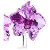 Kristallblumen Orchidee
