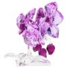 Kristallblumen Orchidee