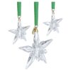 Ornament-Set der Jahresedition 2025 Ornament-Set der Jahresedition 2025