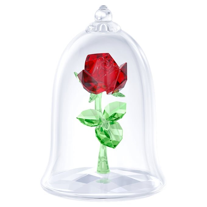 Verzauberte Rose Verzauberte Rose