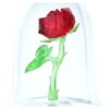 Verzauberte Rose Verzauberte Rose